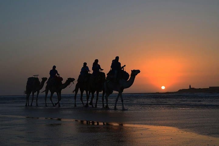 Sunset Camel Ride in Essaouira — 3-Hour Dunes, Beaches & Ruins photo 2