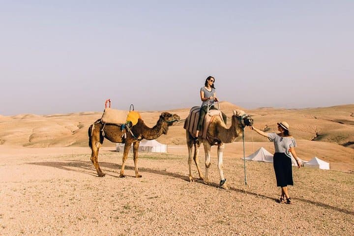 Agafay Desert and Atlas Mountains Day Trip: Camel Ride, Berber Lunch & Scenic Views