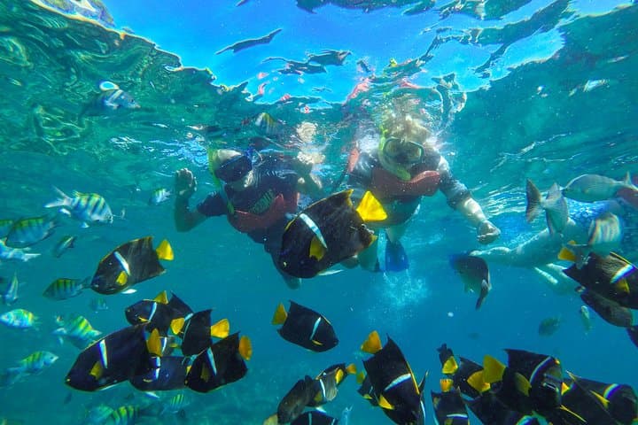 Islas Marietas Day Cruise: Snorkel, Kayak & BBQ at Majahuitas photo 5