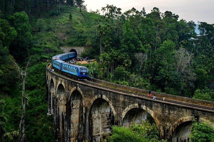 Sri Lanka 11-Day North-to-Centre Highlights Tour: Sigiriya, Jaffna & Tea Country