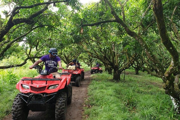 ATV Tour of St Kitts: Off-Road Adventure to Wingfield Estate photo 4
