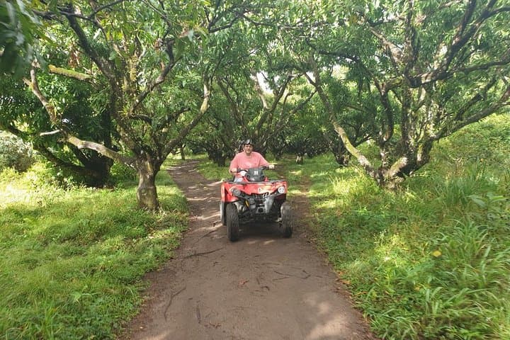 ATV Tour of St Kitts: Off-Road Adventure to Wingfield Estate photo 5
