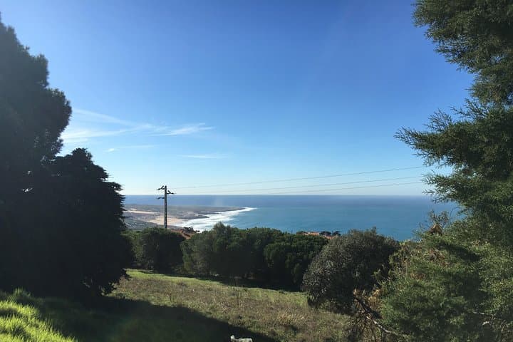 Private Day Tour to Sintra, Cabo da Roca & Cascais from Lisbon photo 6