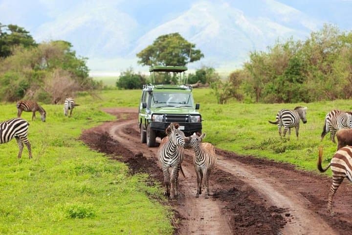 7-Day Private Serengeti & Ngorongoro Safari from Arusha