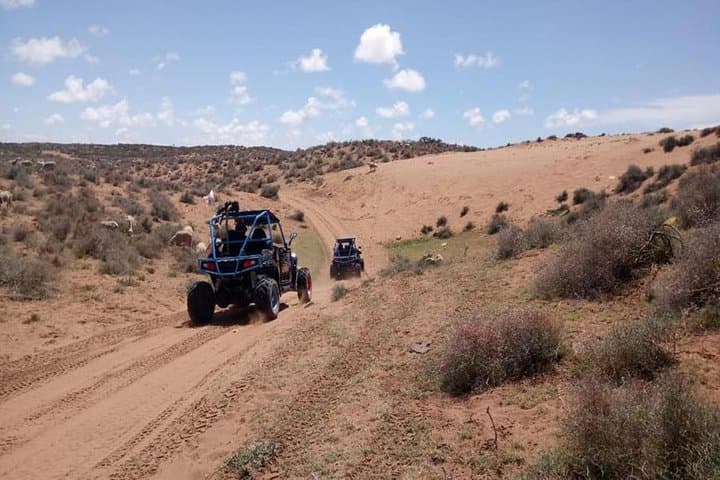 Agadir Desert Adventure: Buggy Safari and Sandboarding with Berber Tea photo 4