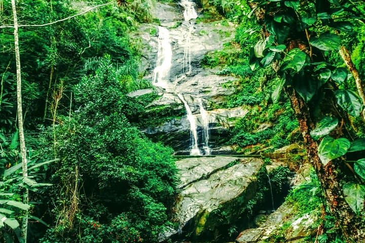 Tijuca Forest Challenge: Taquara Summit Full-Day Hike from Rio de Janeiro photo 6