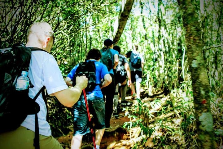 Tijuca Forest Challenge: Taquara Summit Full-Day Hike from Rio de Janeiro photo 2