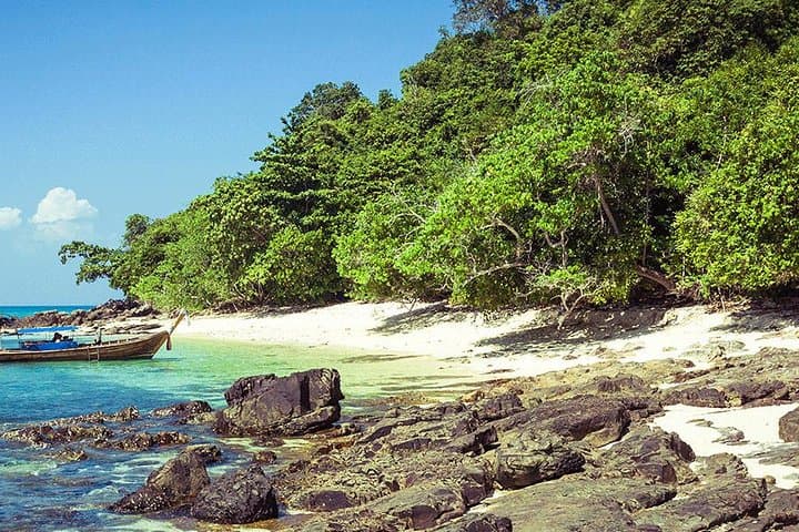 Phi Phi & Bamboo Island Speedboat Tour: Snorkel Maya Bay, Pileh Lagoon & Monkey Beach photo 4