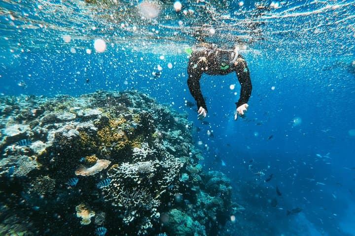 Snorkel La Jolla Cove: Guided Tour to the Emerald Cave and Marine Reefs photo 2