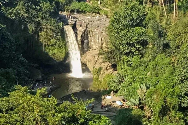 Private Ubud Day Tour: Monkey Forest, Rice Terraces & Jungle Swing photo 3