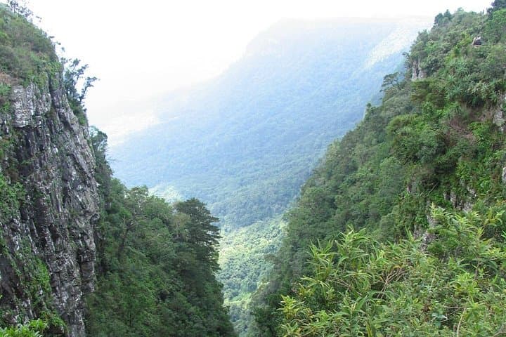 Panorama Route Full-Day Tour from Hazyview — Blyde River Canyon, Gods Window & Bourke's Luck Potholes photo 2
