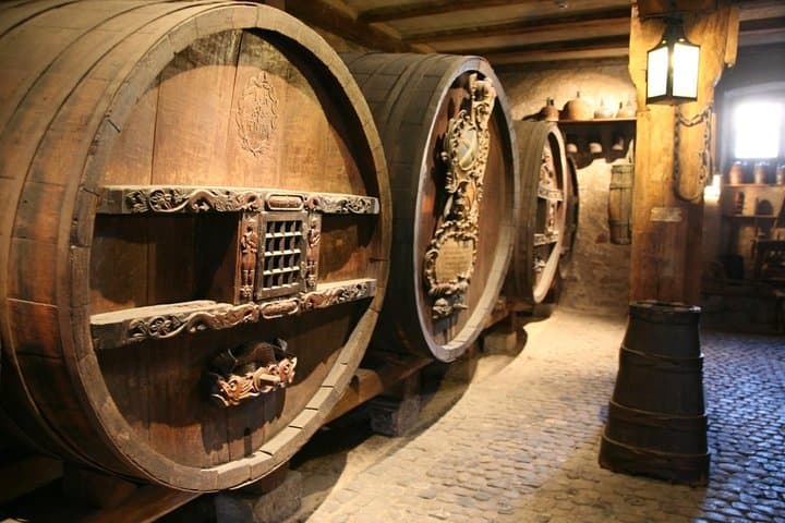 Torgiano Olive Oil & Wine Museum + Mount Subasio ATV Quad Tour — Umbria Half-Day Food and Ride