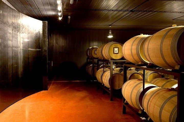 Torgiano Olive Oil & Wine Museum + Mount Subasio ATV Quad Tour — Umbria Half-Day Food and Ride photo 2