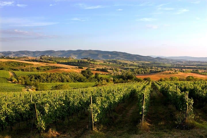 Torgiano Olive Oil & Wine Museum + Mount Subasio ATV Quad Tour — Umbria Half-Day Food and Ride photo 5