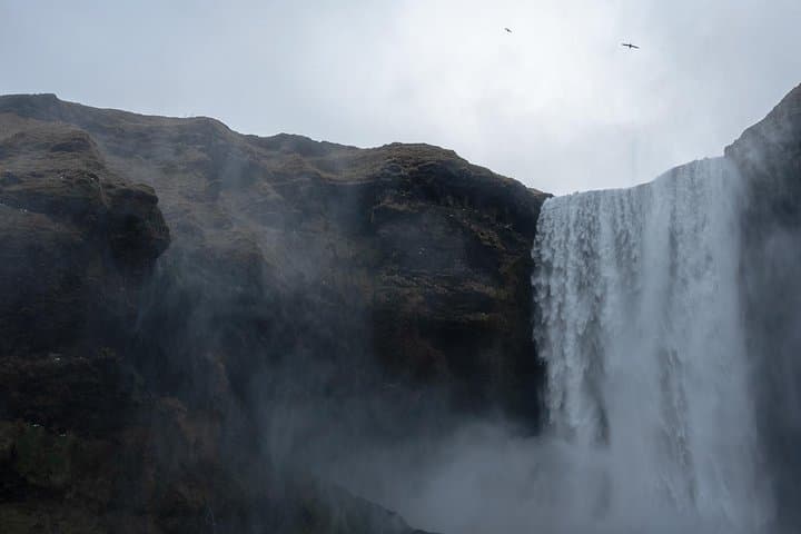 South Coast Private Tour from Reykjavík — Seljalandsfoss, Reynisfjara & Dyrhólaey photo 3