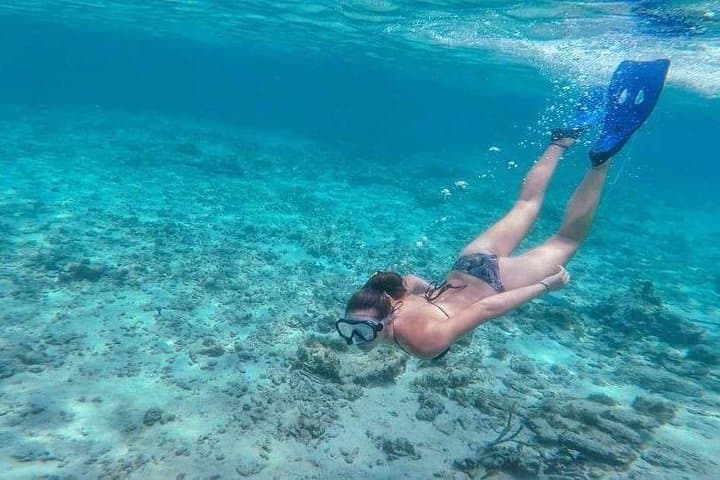 Private Full-Day Sail and Snorkel in the USVI from Sapphire Marina photo 4
