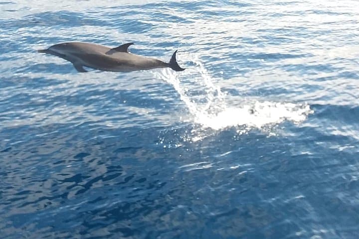 Private Full-Day Sail and Snorkel in the USVI from Sapphire Marina photo 6