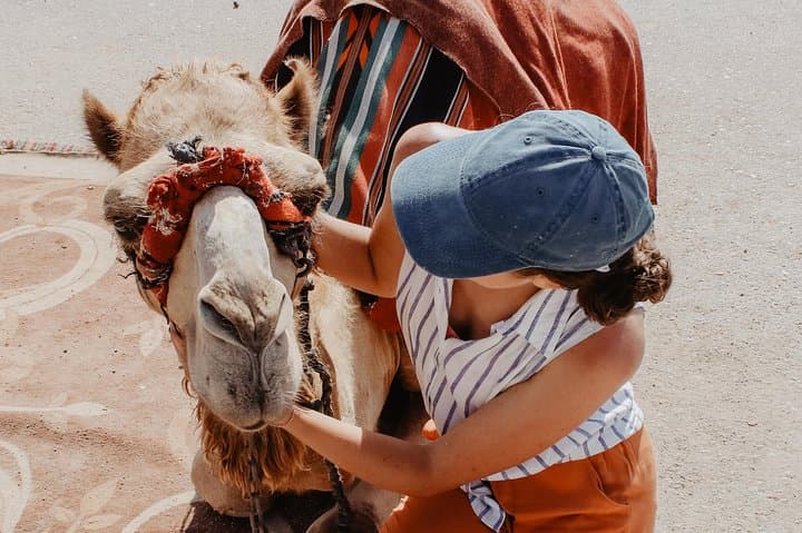 Camel Caravans in Marrakech's Palm Oasis: 2-Hour Sunset Ride & Tea Visit photo 2
