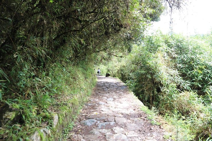 Salkantay Trek to Machu Picchu: 5-Day Private Trek from Cusco photo 6