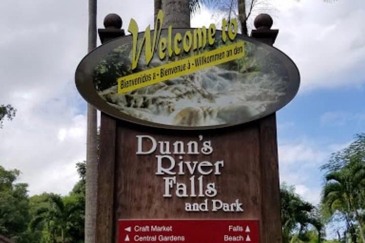 Climb and Swim Dunn's River Falls: Private Tour from Ocho Rios photo 2