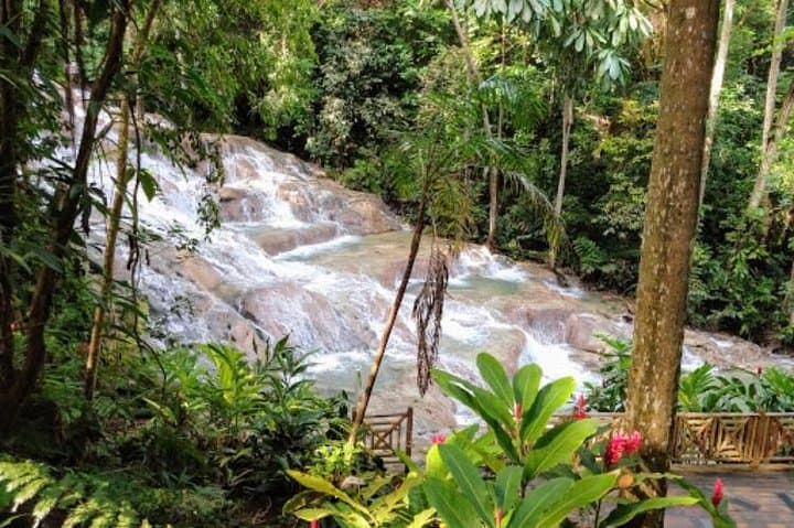 Climb and Swim Dunn's River Falls: Private Tour from Ocho Rios photo 4
