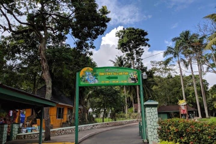 Climb and Swim Dunn's River Falls: Private Tour from Ocho Rios photo 5