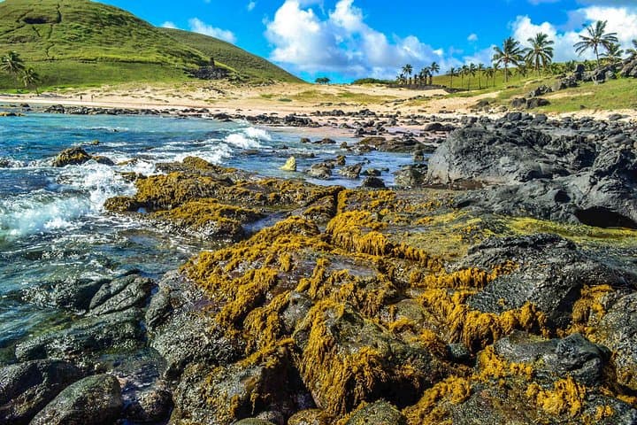 Rapanui Origins Full-Day Private Tour — Explore Easter Island's Moai, Quarries & Anakena Beach