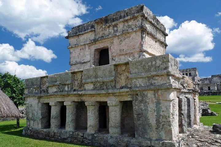 Tulum Private Tour — Swim with Turtles and Jungle Cenote Adventure