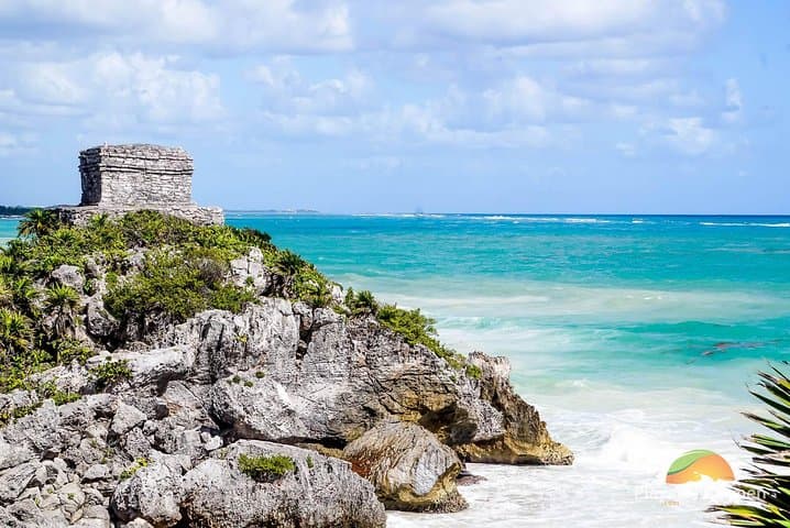 Tulum Private Tour — Swim with Turtles and Jungle Cenote Adventure photo 5