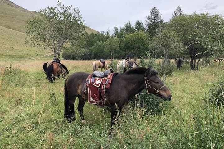 Genghis Khan Statue & Terelj Full-Day Horseback and Cultural Tour photo 3