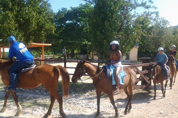 Horseback, Zipline & Dunn's River Falls Day-Trip from Montego Bay