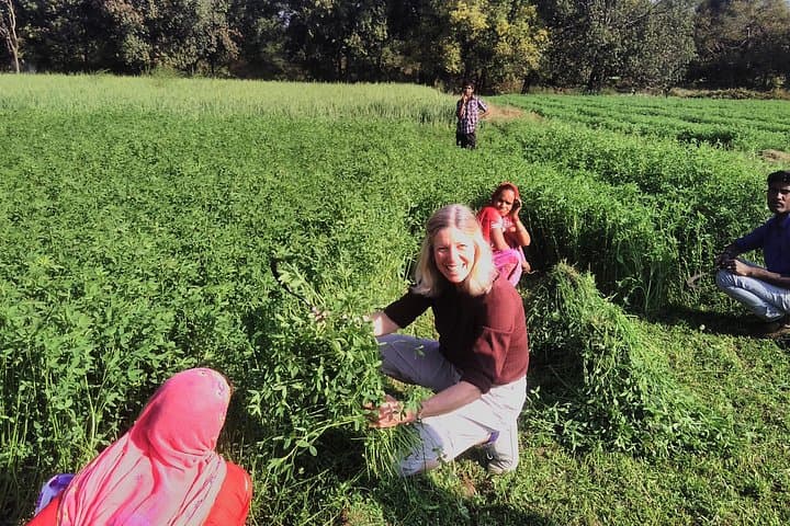 Countryside Village Tour near Udaipur: Authentic Rural Village Visit photo 1
