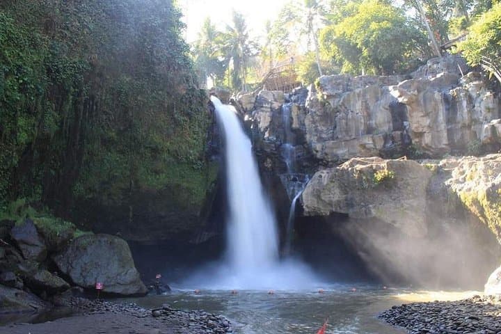Ubud in a Day: Monkey Forest, Tegalalang Rice Terraces & Tegenungan Waterfall photo 4