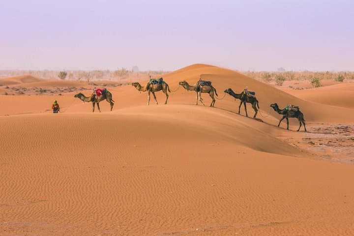 Three-Day Marrakech to Merzouga Desert Tour: Kasbahs, Gorges & Camel Trek photo 4
