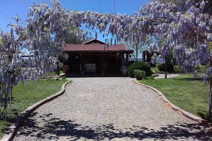 Ojos Negros Valley Wine & Cheese Route — Ensenada Day Tour photo 3