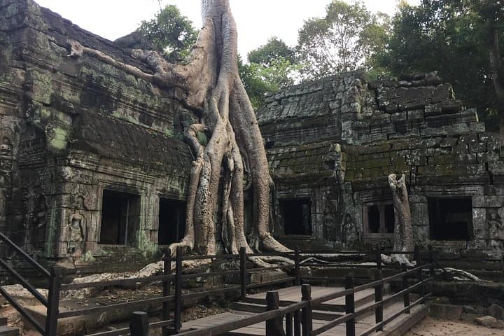 Full-Day Angkor Bike Tour: Ta Prohm, Bayon & Sunset at Phnom Bakheng photo 2