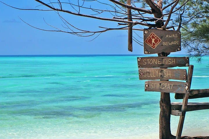 Mantanani Island Snorkeling — Full-Day Learner-Friendly Trip from Kota Kinabalu photo 4