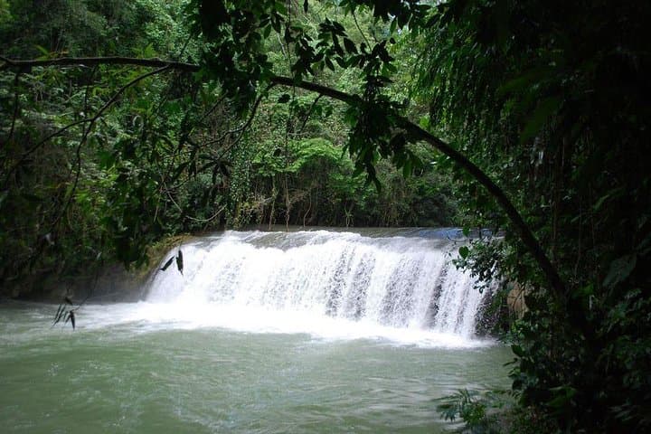 YS Falls Private Tour: South Coast Waterfall Swim, Tractor Ride & Zipline Options