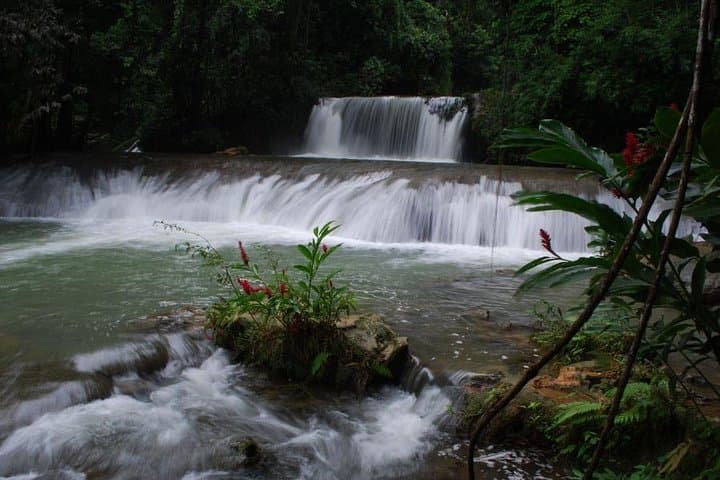 YS Falls and Pelican Bar Day Tour from Montego Bay