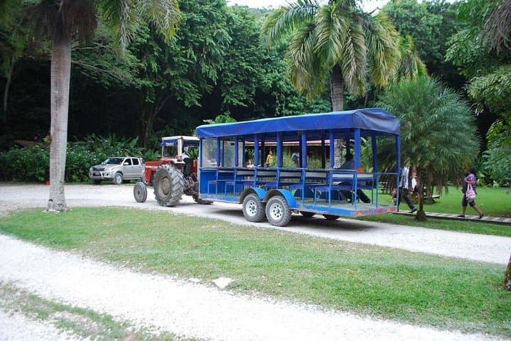 YS Falls Private Tour: South Coast Waterfall Swim, Tractor Ride & Zipline Options photo 5