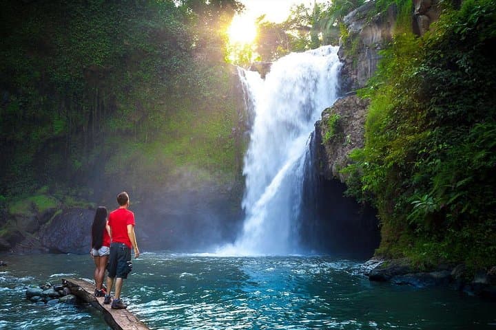 Ubud in a Day: Private Tour to Temples, Waterfall & Rice Terraces photo 4