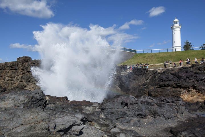 Sydney South Coast & Highlands Private Day Tour: Sea Cliff Bridge, Kiama Blowhole & Fitzroy Falls photo 4
