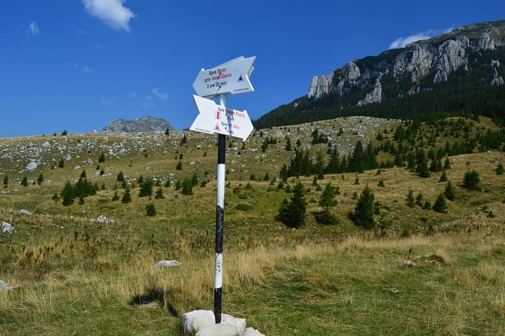 4-Day Carpathian Trek: Bucegi & Piatra Craiului Multi-Day Hike from Brasov photo 4