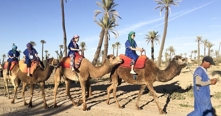 Sunset Camel Ride in Marrakech’s Palmeraie: Two-Hour Dromedary Tour & Berber Tea photo 2