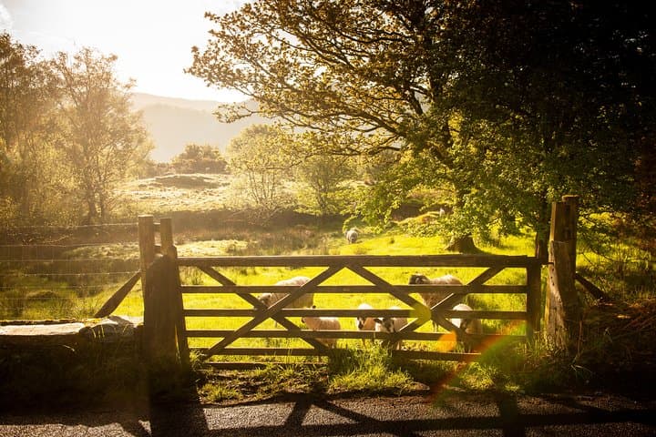 5-Day York, Lake District & Hadrian's Wall Tour from Edinburgh photo 2