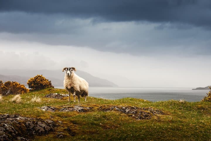 5-Day Iona, Mull and Isle of Skye Tour from Edinburgh — Small-Group West Coast Adventure photo 3
