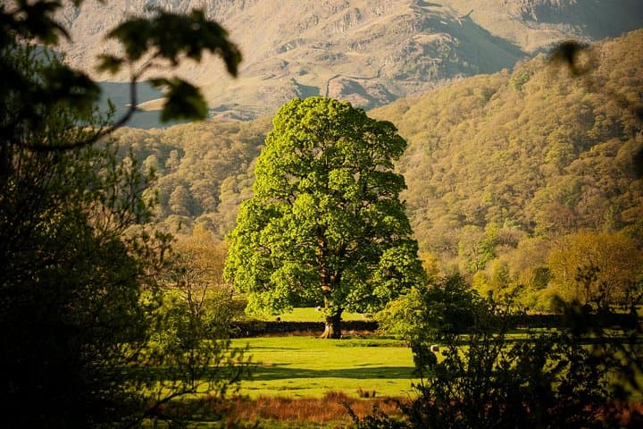 3-Day Lake District Explorer from Edinburgh — Windermere, Ullswater & Honister Pass photo 6