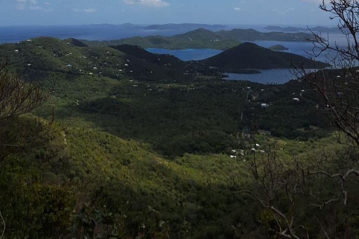 Private St. John Tour: Trunk Bay, Annaberg & Leinster Bay photo 3