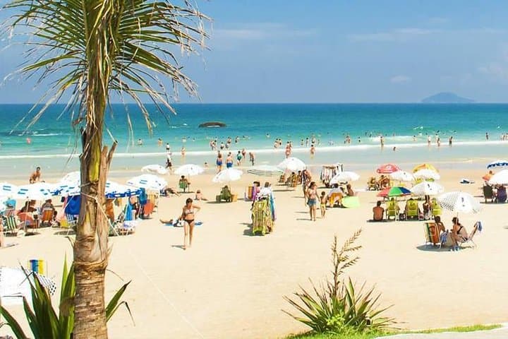 Floripa Total: Full-Day Scenic Tour of Florianópolis — Beaches, Lagoa & TAMAR photo 3