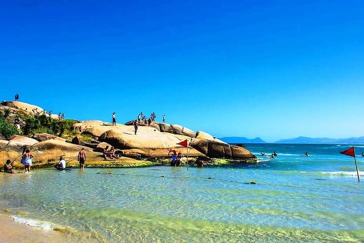 Floripa Total: Full-Day Scenic Tour of Florianópolis — Beaches, Lagoa & TAMAR photo 5
